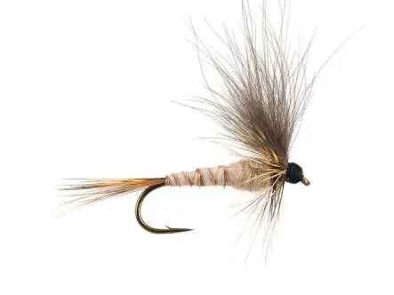 H-Drift Dun - Tan-Yellowish 12