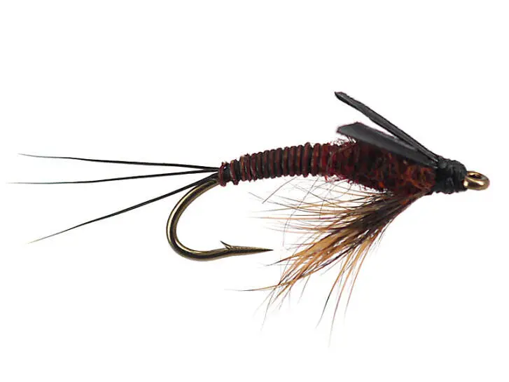 L-Nymph 16