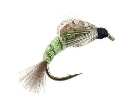 TG Caddis Pupa Color Factor - Verde Fluo 12