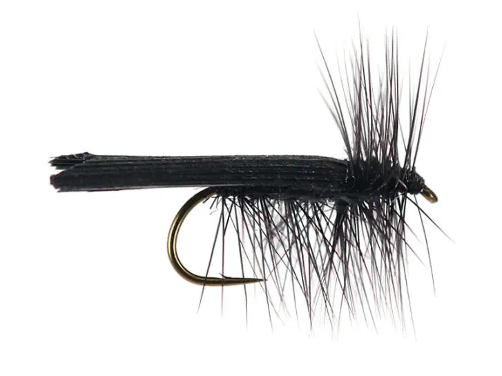 S4 Black Sedge - Black 12