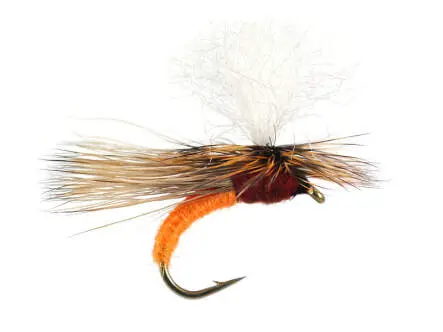 S10 Transition Fast Water - Orange 12