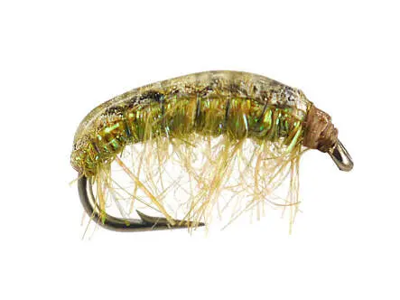 Gammarus 01 - Pale Olive 12