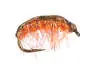 Gammarus 04 - Orange 16