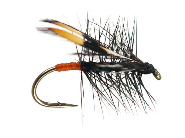 G2 Grayling Rassid 12