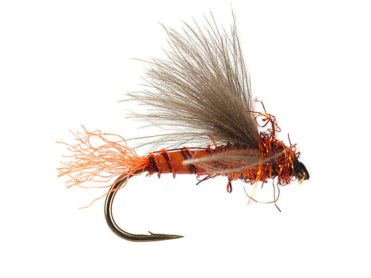 G6 Grayling Sedge - Orange Tail  18