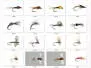 Set Baetidae (Olive - Iron Blue) - S - 16 flies