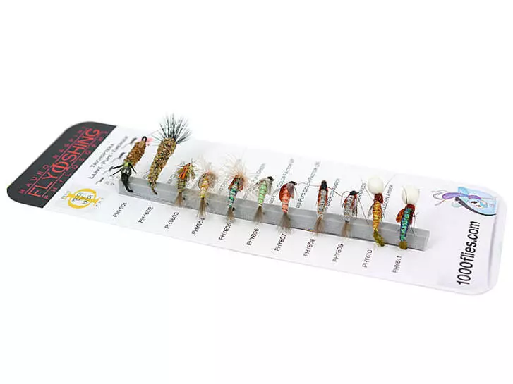 Set Trichoptera (Larve - Pupe - Emerger) - L - 11 flies