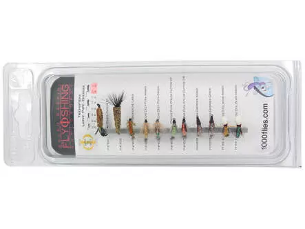 Set Trichoptera (Larve - Pupe - Emerger) - L - 11 flies