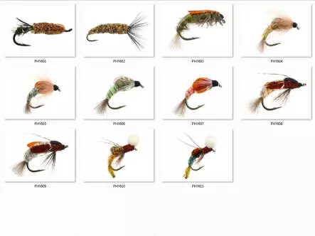 Set Trichoptera (Larve - Pupe - Emerger) - L - 11 flies
