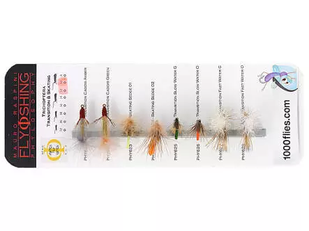 Set Trichoptera (Transition & Skating) - L - 8 flies