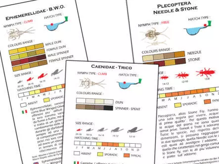 Set Trichoptera (Transition & Skating) - M - 8 flies