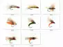 Set Trichoptera (Transition & Skating) - M - 8 flies
