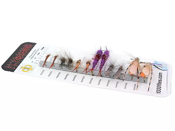 Set Plecoptera (Needle & Stone) - XXL - 12 flies