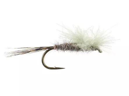 CDC Para Emerger