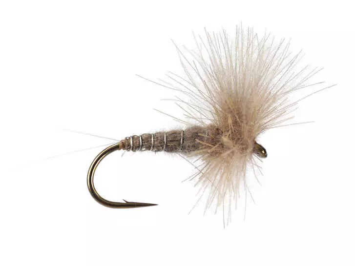 CDC Blue Dun