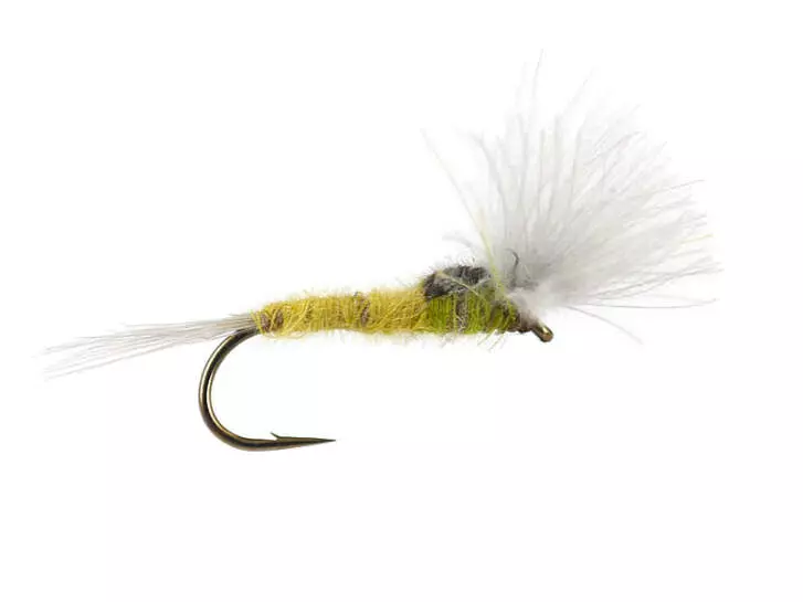 CDC Split Wing - Yellow Dun