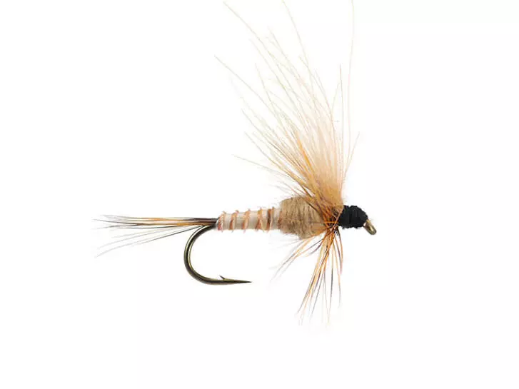 CDC Drift Dun (Olive Upright) - Tan Yellowish