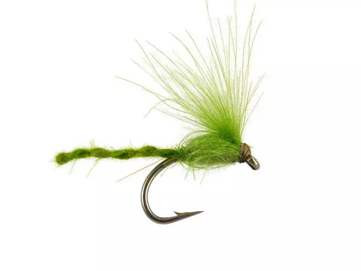 CDC Nyakinama - Medium Olive
