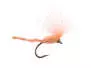 CDC Nyakinama - Salmon