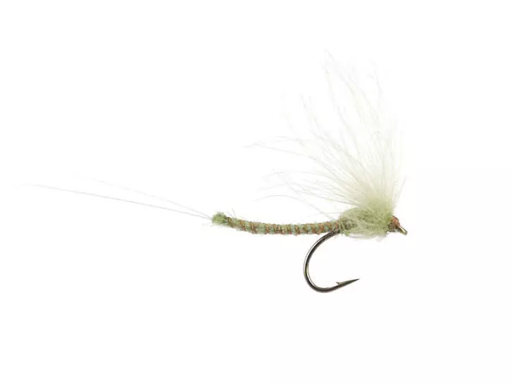 CDC Long Extended Body - Tan