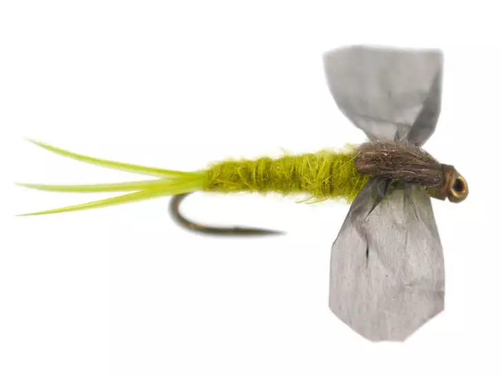 CDC Cripple - Pale Olive 14