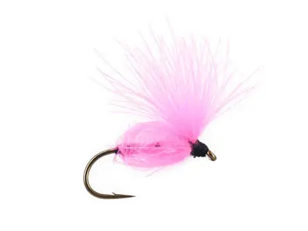 CDC Arpo - Pink 16