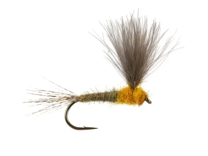 CDC Upright - Yellow May 14
