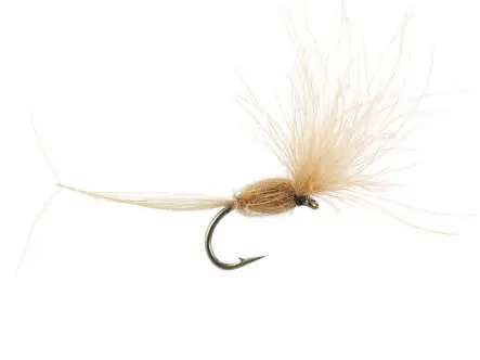 CDC Dry Wonder - Tan 16
