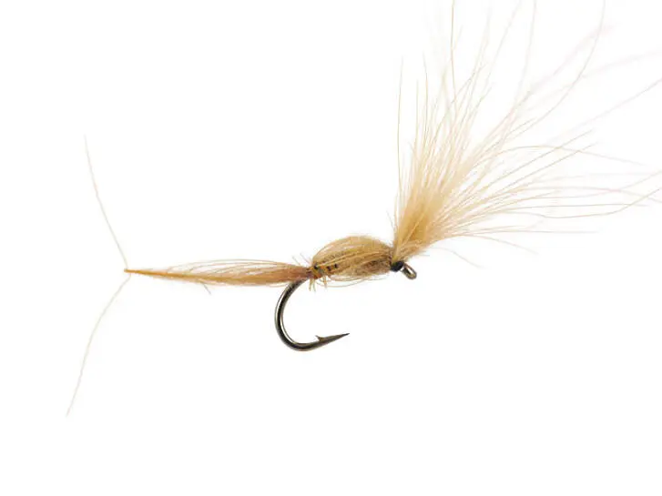 CDC Dry Wonder - Dark Tan 14