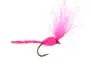 CDC Nyakinama - Fucsia 16