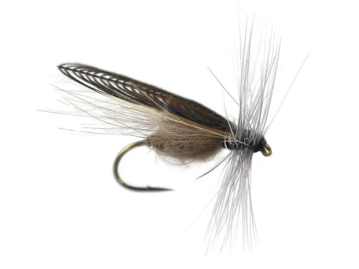 CDC Stone Fly 18