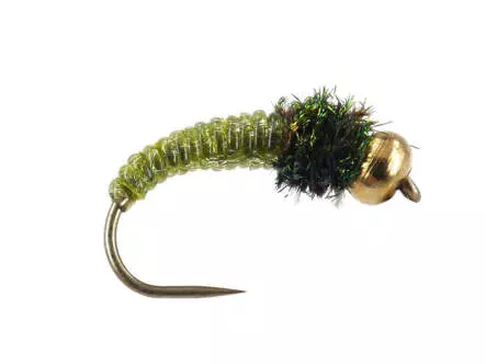 Caddis Larva Olive BL
