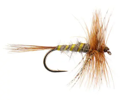 March Brown Classic 12