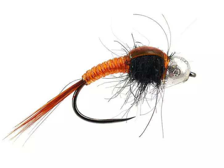 TG Body Glass Orange BL