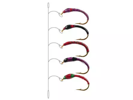 Coregonus line UNIVERSAL