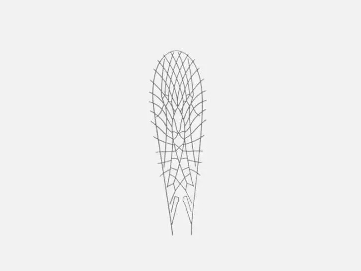 Realistic wing material for Stoneflies - size A2