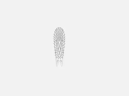 Realistic wing material for Stoneflies - size A4