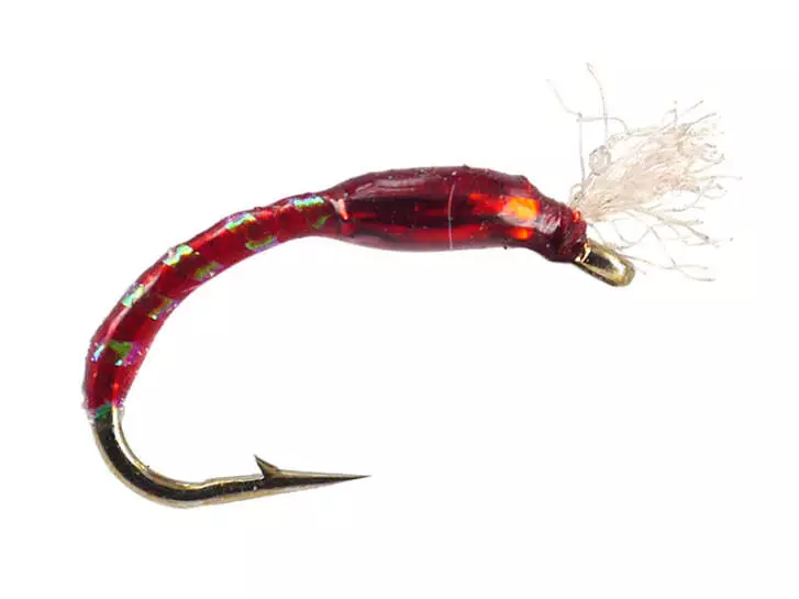 Ginos Red Gold Holo Buzzer