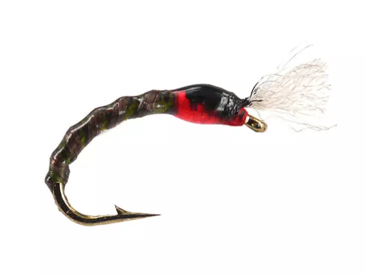 Pedros Dark Olive Buzzer
