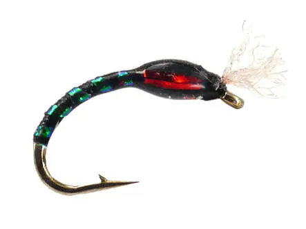 Ginos Black Green Holo Buzzer 14