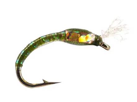 Ginos Olive Gold Holo Buzzer 12