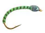 Coregonus line SYNTQUILL ALL GREEN