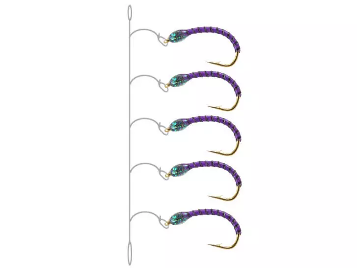 Coregonus line SYNTQUILL ALL PURPLE