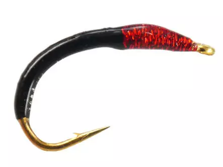 Coregonus line BLACK AND RED THORAX