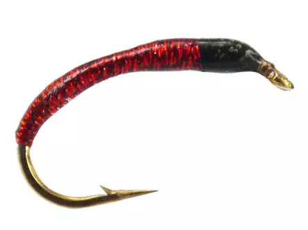 Coregonus line SPECIAL UNIVERSAL