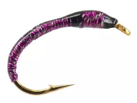 Coregonus line SPECIAL UNIVERSAL