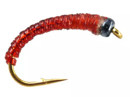 Coregonus line GLASS BEAD