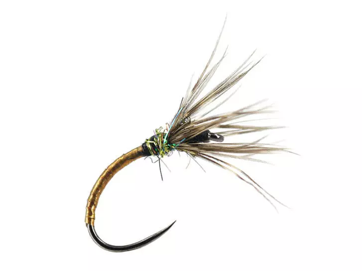 Sakasa Kebari Golden Eye