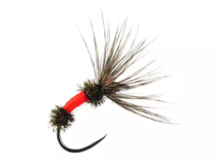 Sakasa Kebari Red Coachman