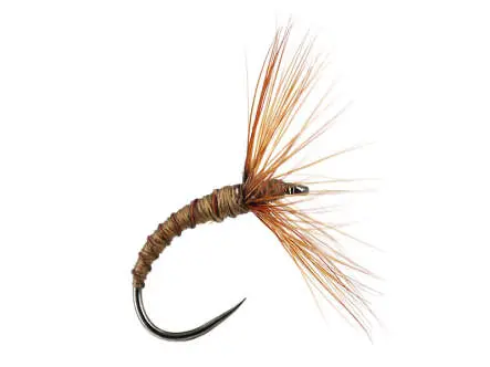 Sakasa Kebari Brown Ribbed 12